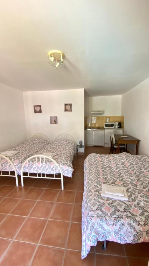 Appartements " Le Clos De La Cerisaie" Кастийон-дю-Гар Екстериор снимка